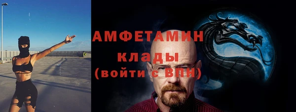 сатива Костерёво