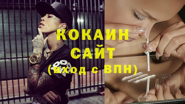 дурь Коряжма